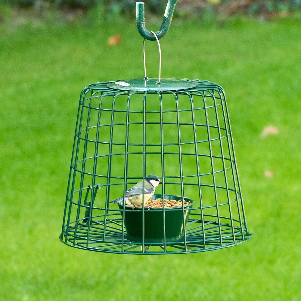 Cage de protection pour friandises et vers de farine