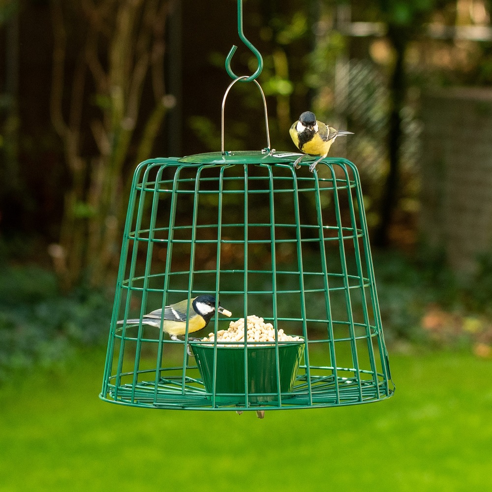 Suet Pellet & Mealworm Guardian Bird Feeder