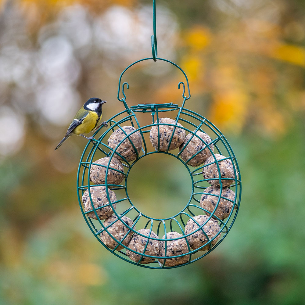 Ultimate vetbollen met insecten - 6 stuks