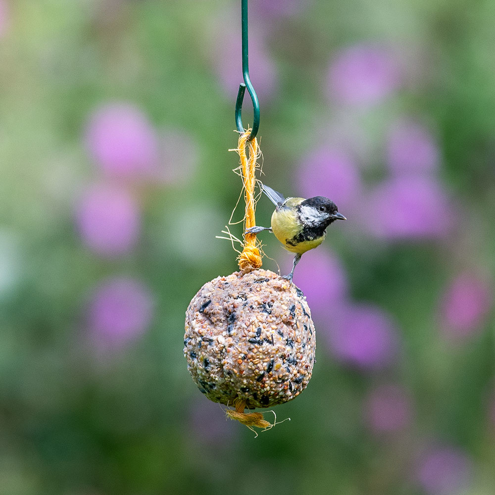 Fuglemat stor meiseboll original 450 g