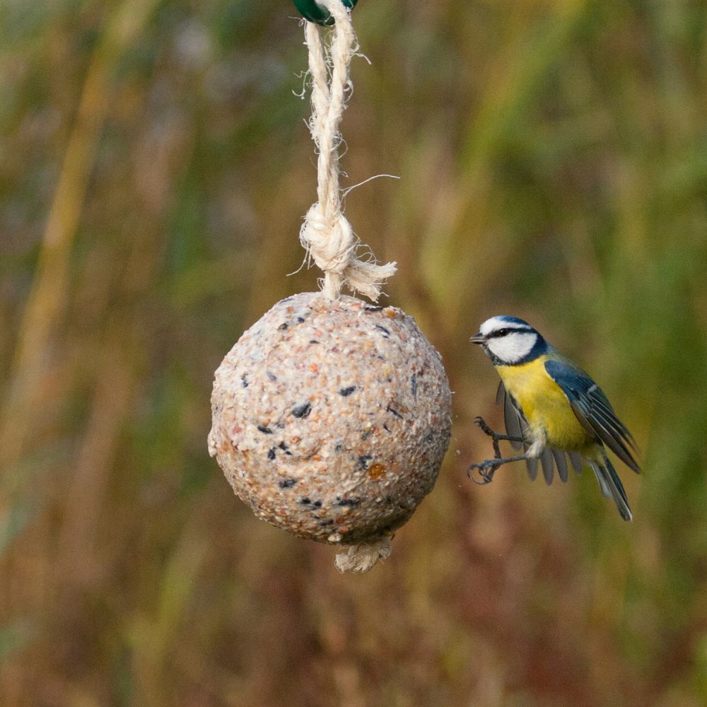 Fuglemat stor meiseboll original 450 g