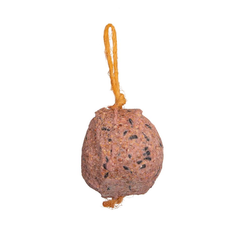 Giant Berry Fat Ball on a Rope