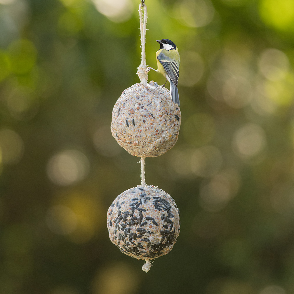 Giant Fat Balls on a Rope - Duo