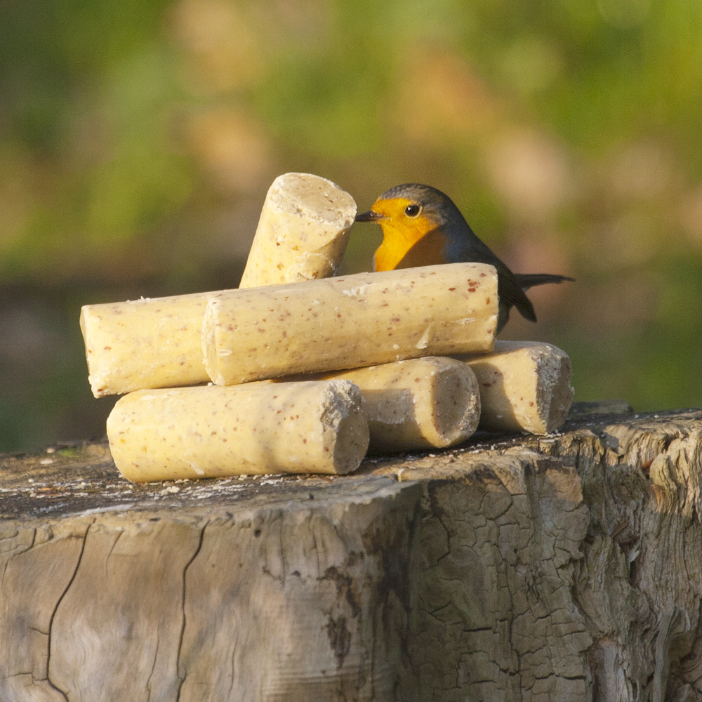 Sélection de rouleaux énergétiques 6 pièces - 2 saveurs