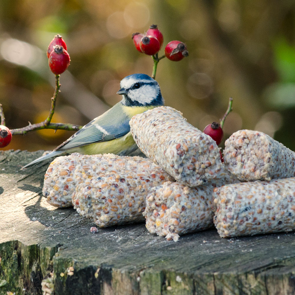 Suet Logs with Seeds - 6 pack