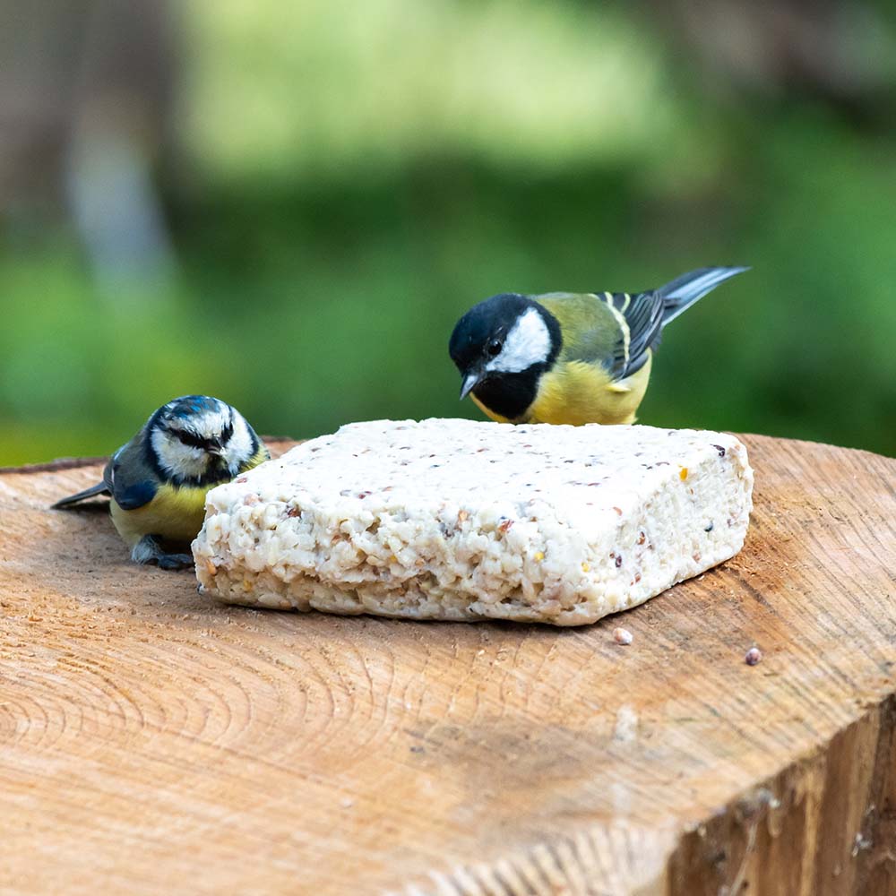 Suet Block with Peanuts 310g