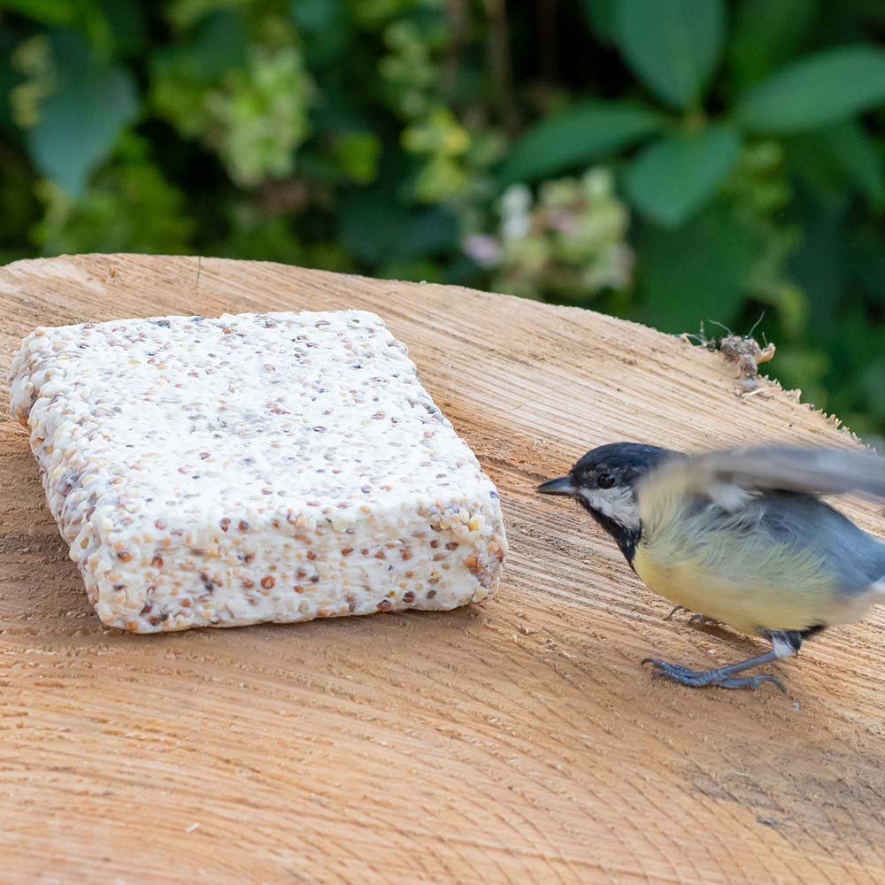 Suet Block with Seeds 350g