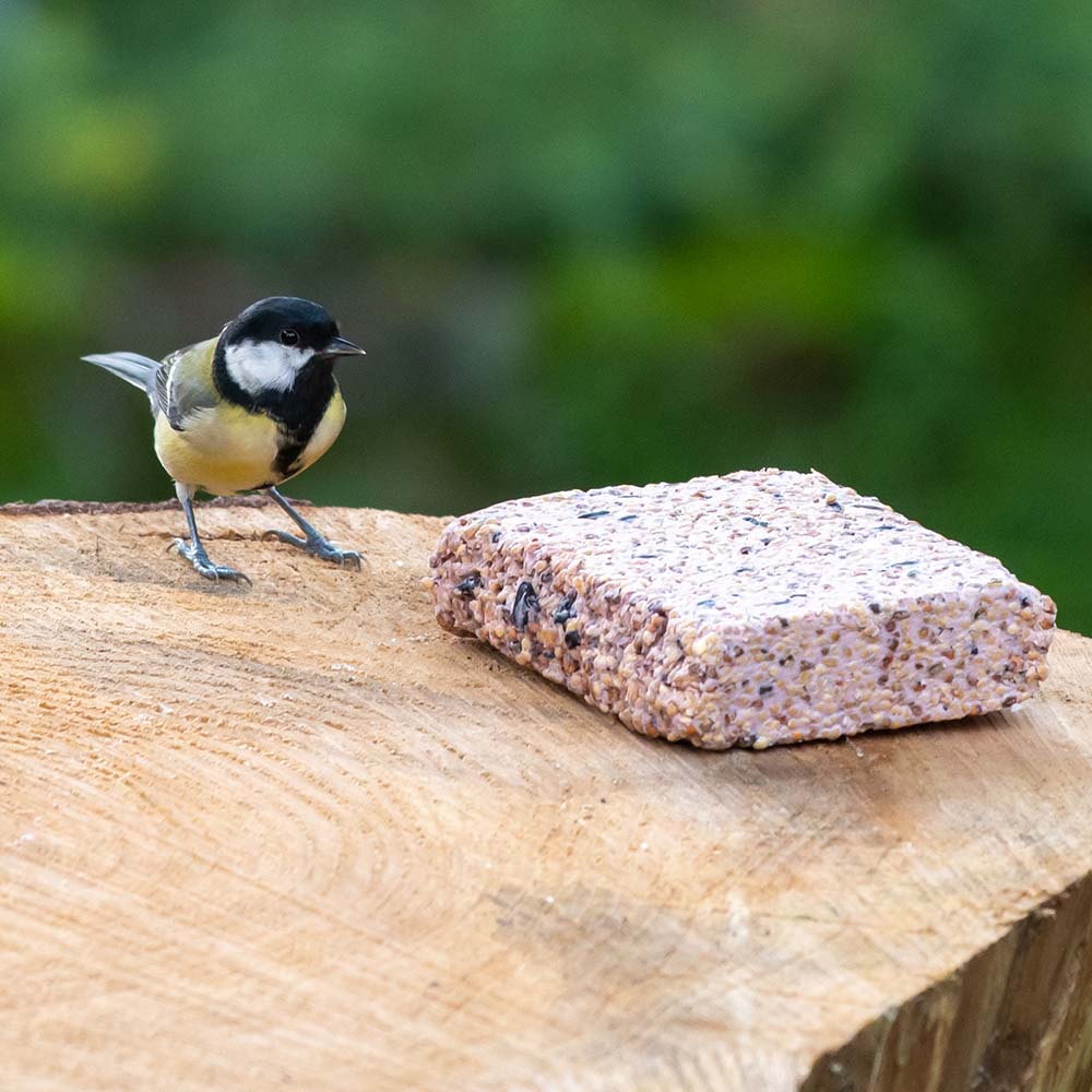Suet Block with Forest Fruit 350g