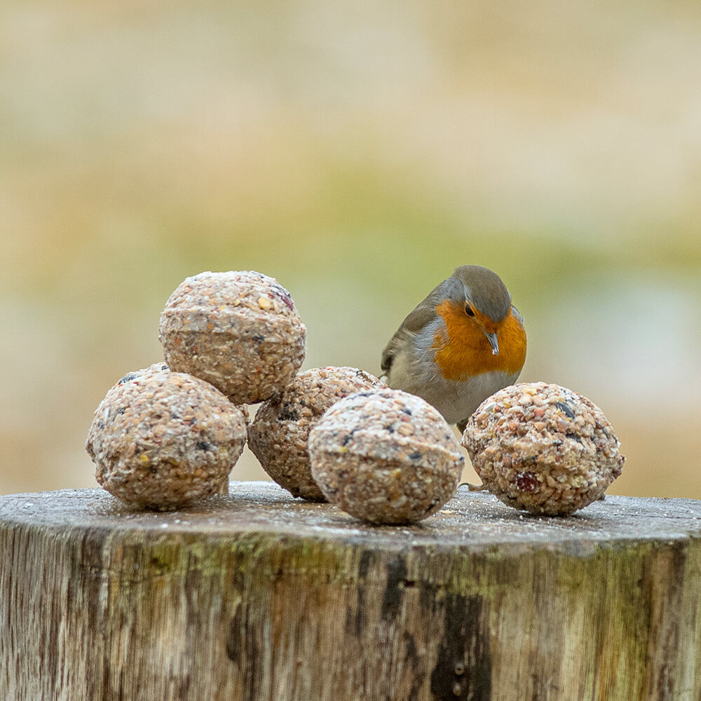 Bio-Meisenknödel 6 Stück