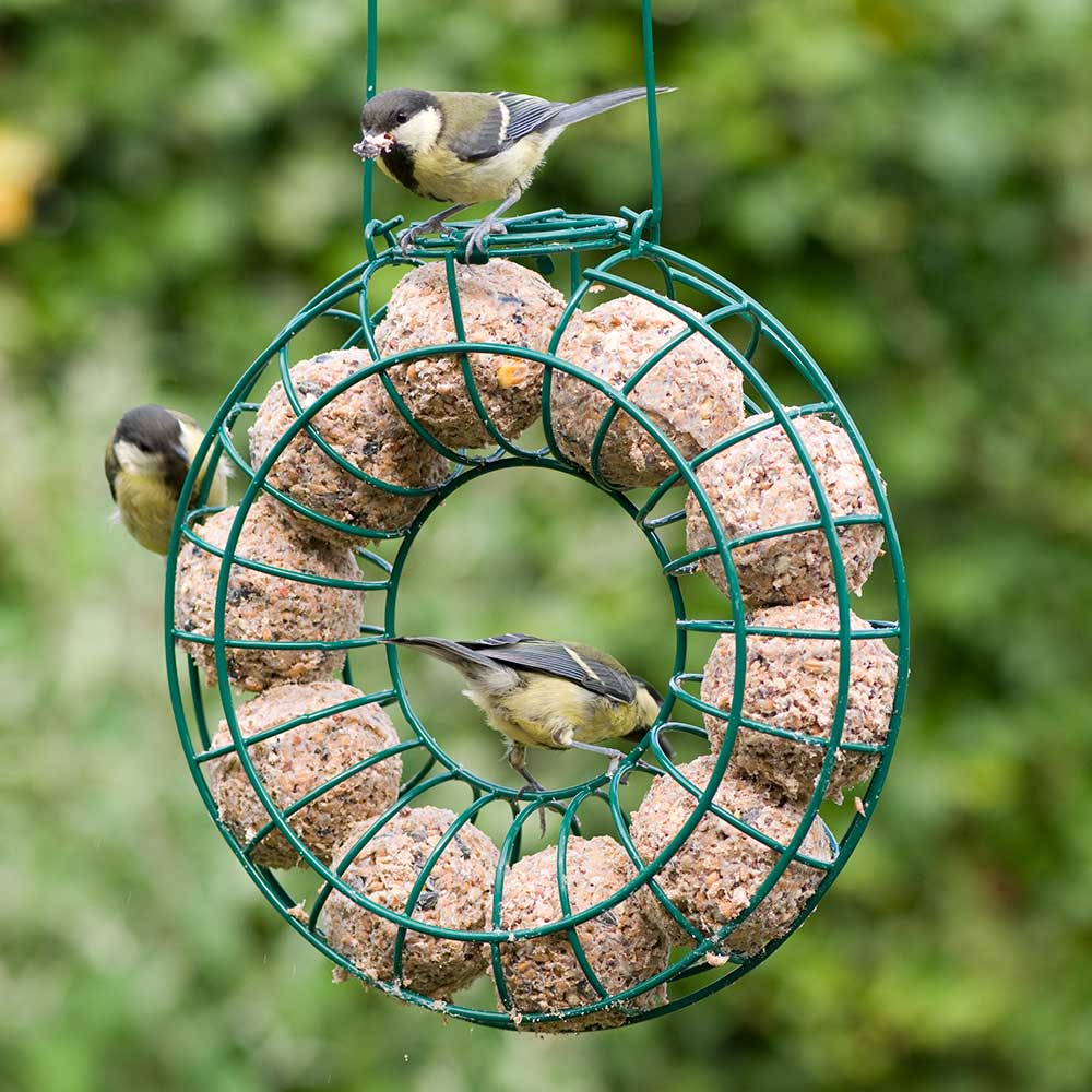 Fuglemat meiseboller med insekter 6 stk