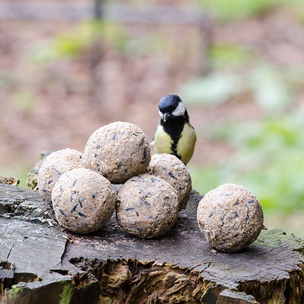 Boules de graisse originales - 6 pièces