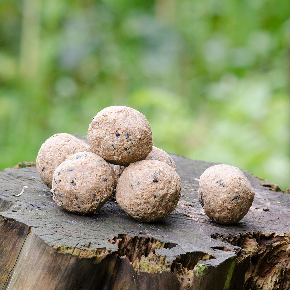 Meisenknödel mit Insekten, 50 Stück im Karton