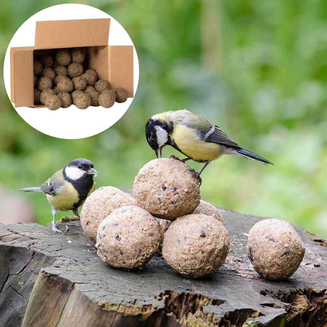 Meisenknödel mit Insekten, 50 Stück im Karton