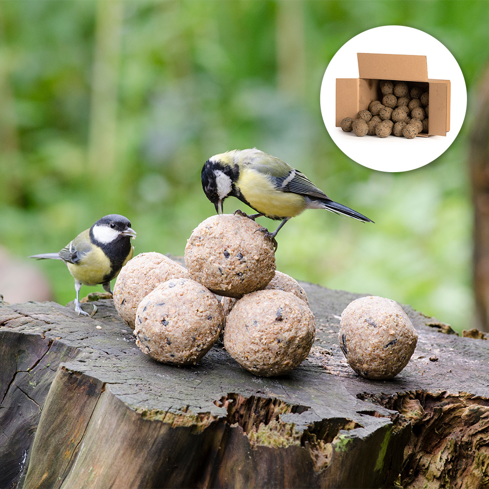 Meisenknödel mit Insekten, 50 Stück im Karton