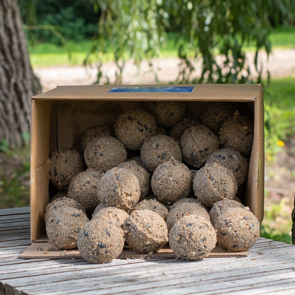 Meisenknödel mit Insekten, 50 Stück im Karton