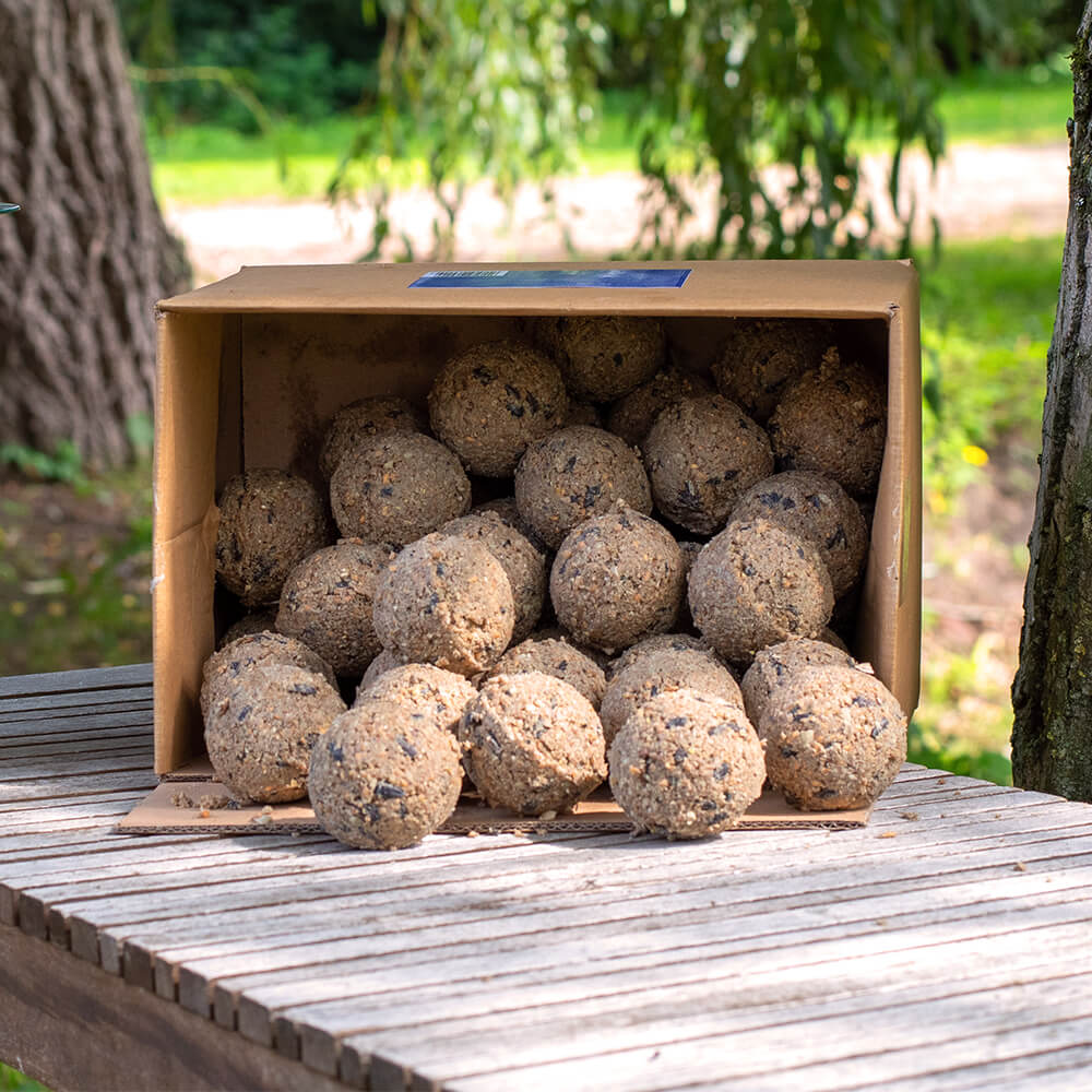 Meisenknödel mit Insekten, 50 Stück im Karton