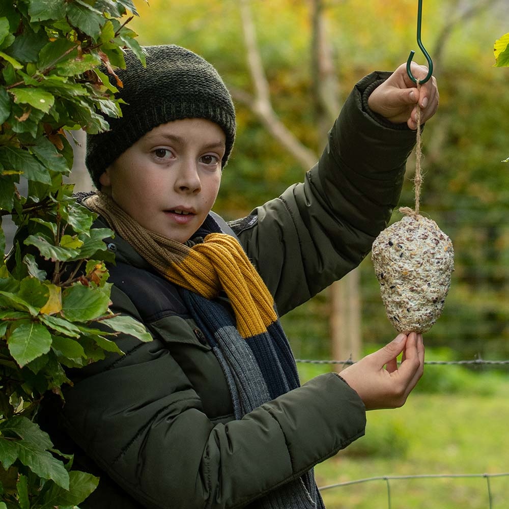 Pine Cone Suet Treat for Birds