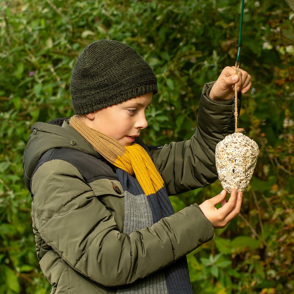 Pine Cone Suet Treat for Birds