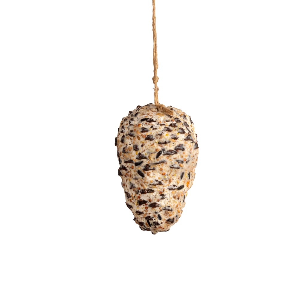 Peanut Butter filled Pine Cone for Birds