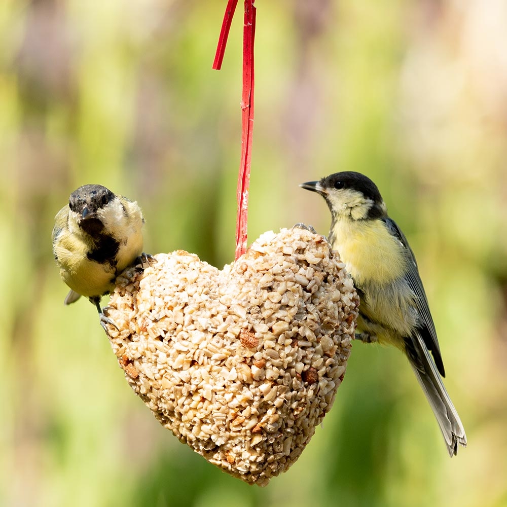 Hanging Peanut & Sunflower Heart