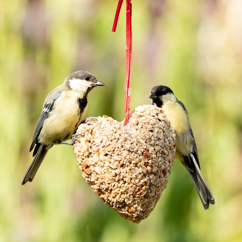 Hanging Peanut & Sunflower Heart