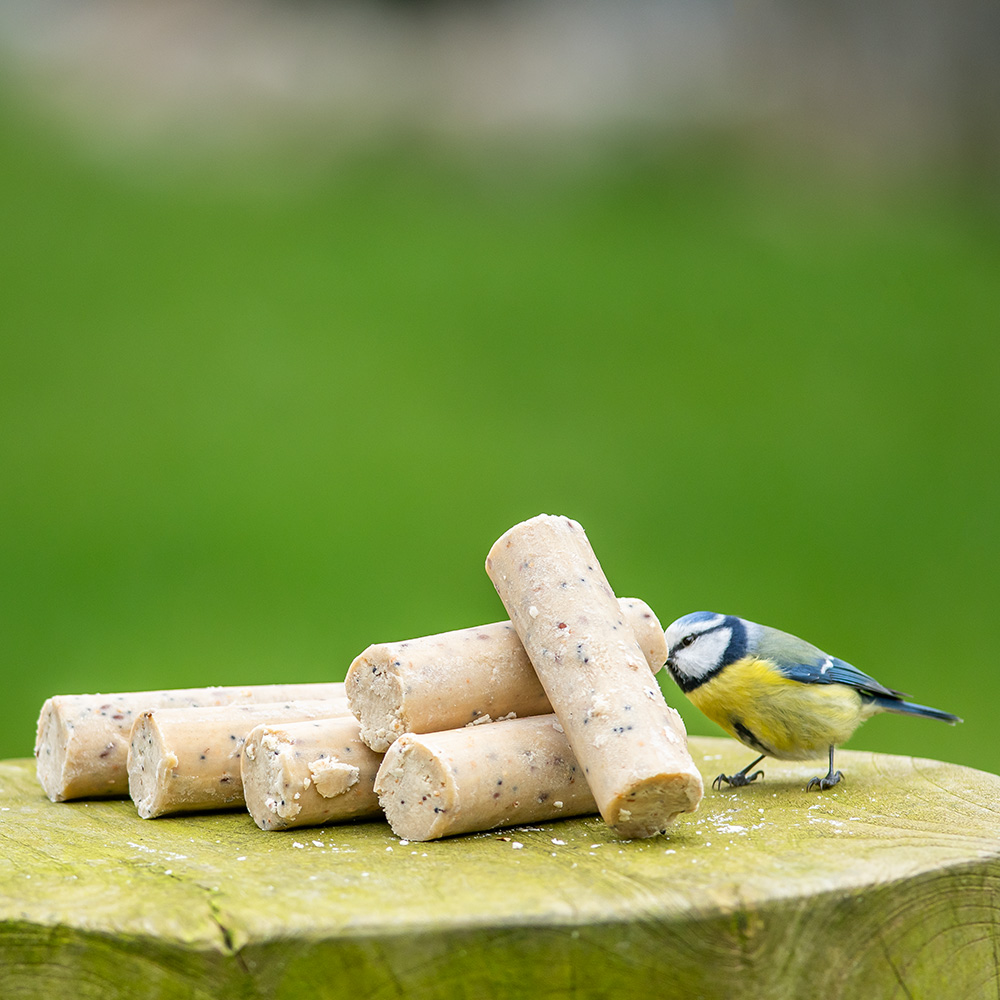 Energierollen mit Insektenfett (6 Stück)