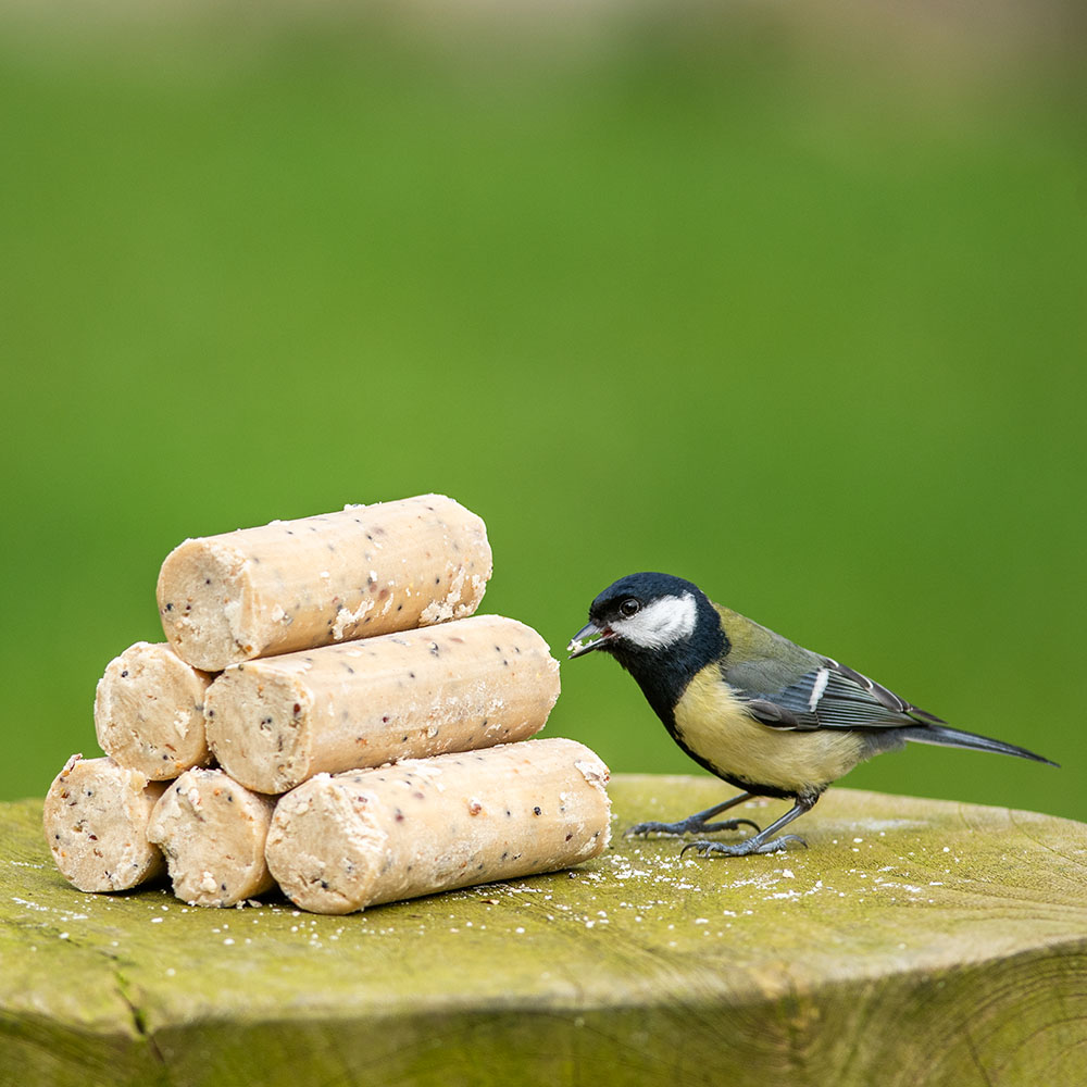 Energierollen mit Insektenfett (6 Stück)