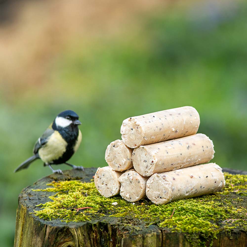 Energierollen mit Insektenfett (6 Stück)