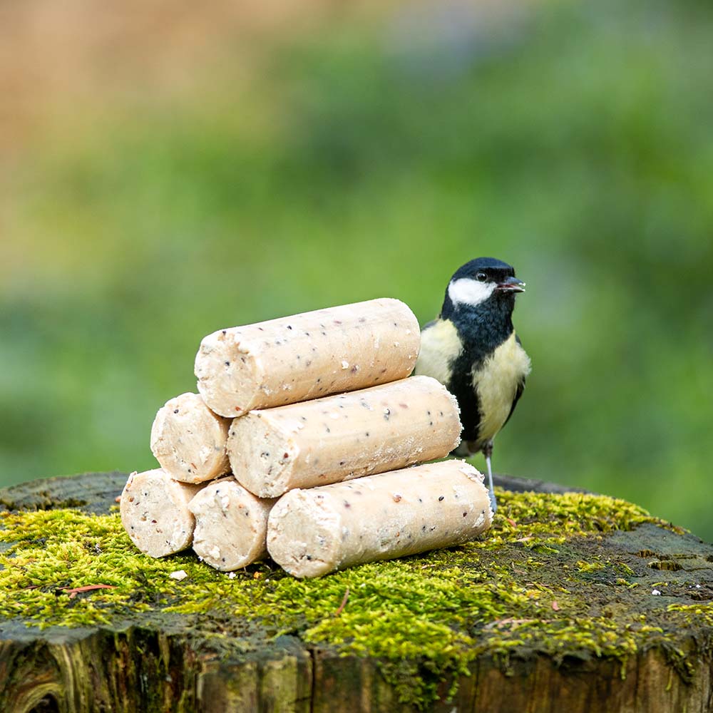 Energierollen mit Insektenfett (6 Stück)