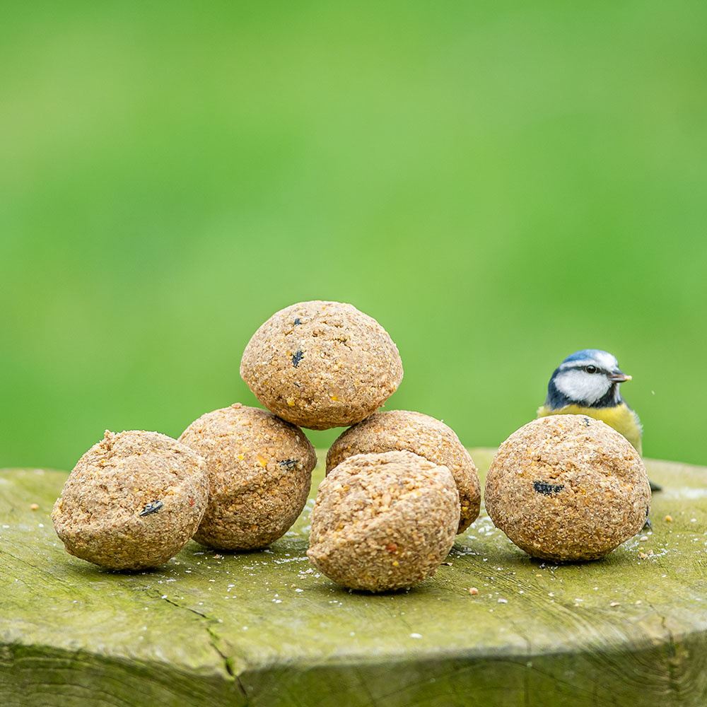 Vetbollen met insectenvet - 6 stuks