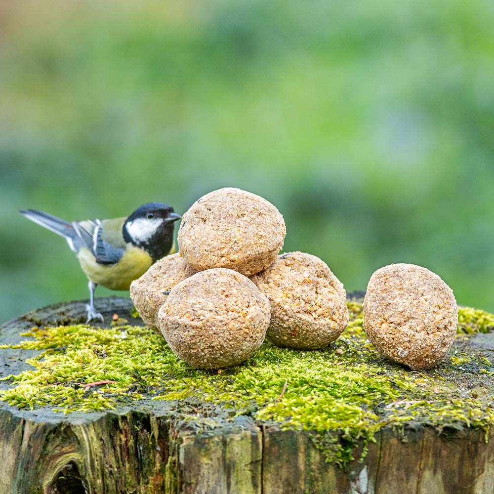 Fuglemat meiseboller med insektsfett 6 stk