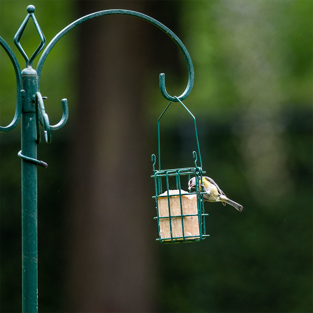 Energiblokk med insektsfett