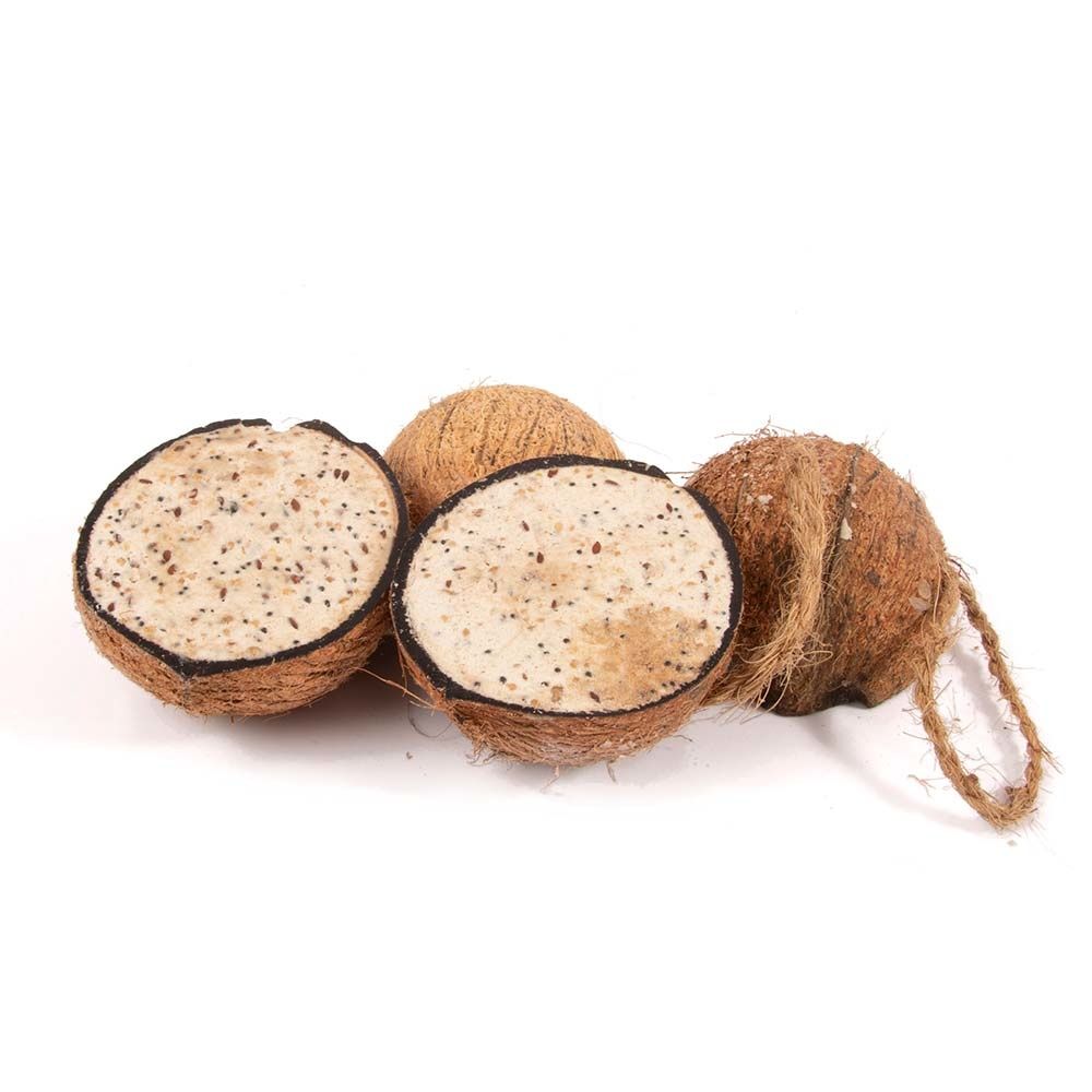 Pack de 4 demi-noix de coco - avec vers de farine