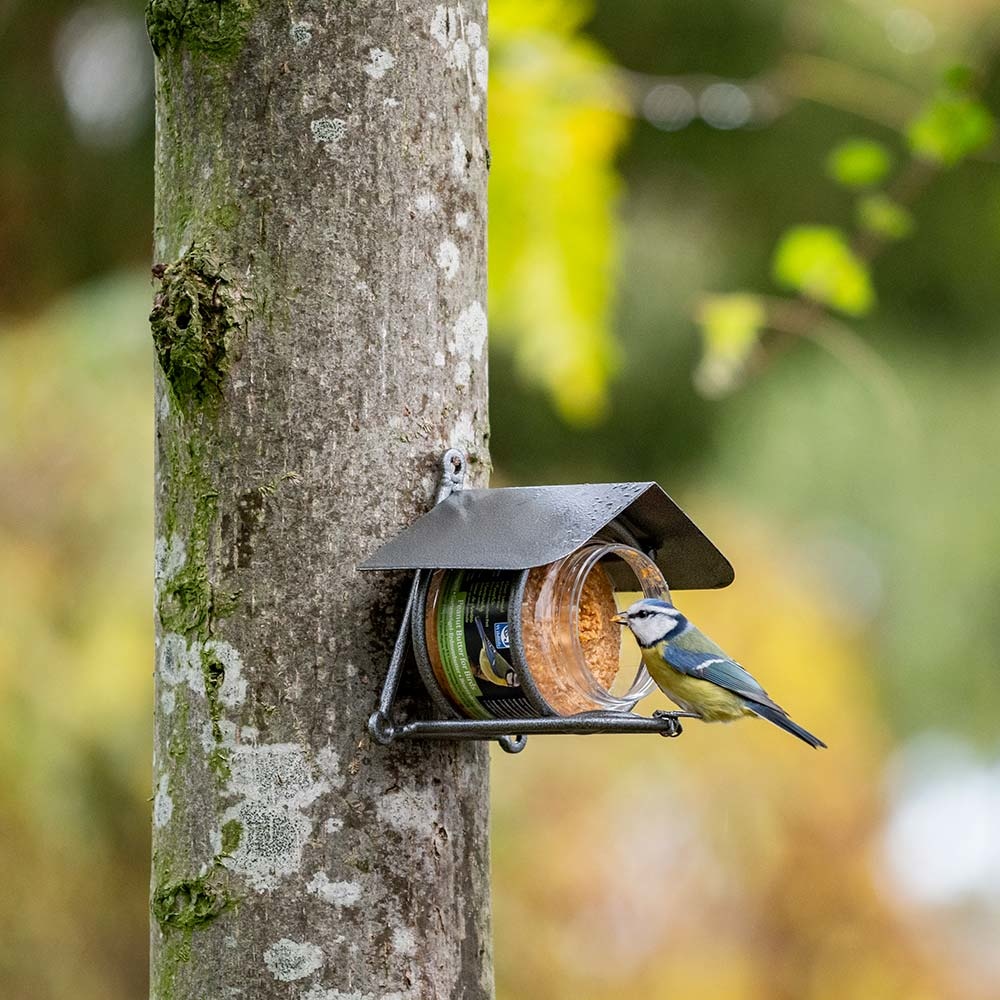 Pindakaas voor vogels, rijk aan eiwitten