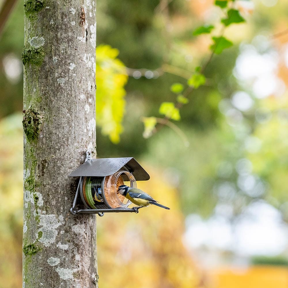 Pindakaas voor vogels, rijk aan eiwitten