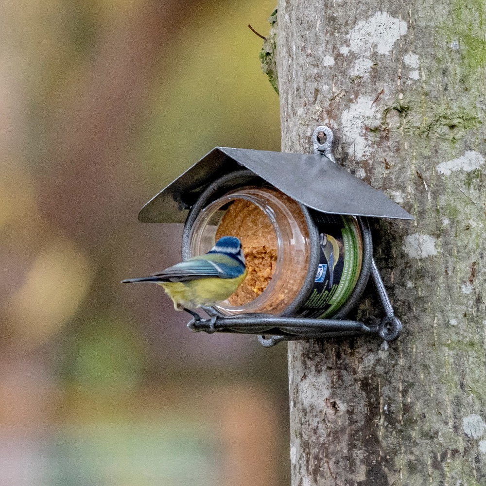 Pindakaas voor vogels, rijk aan eiwitten