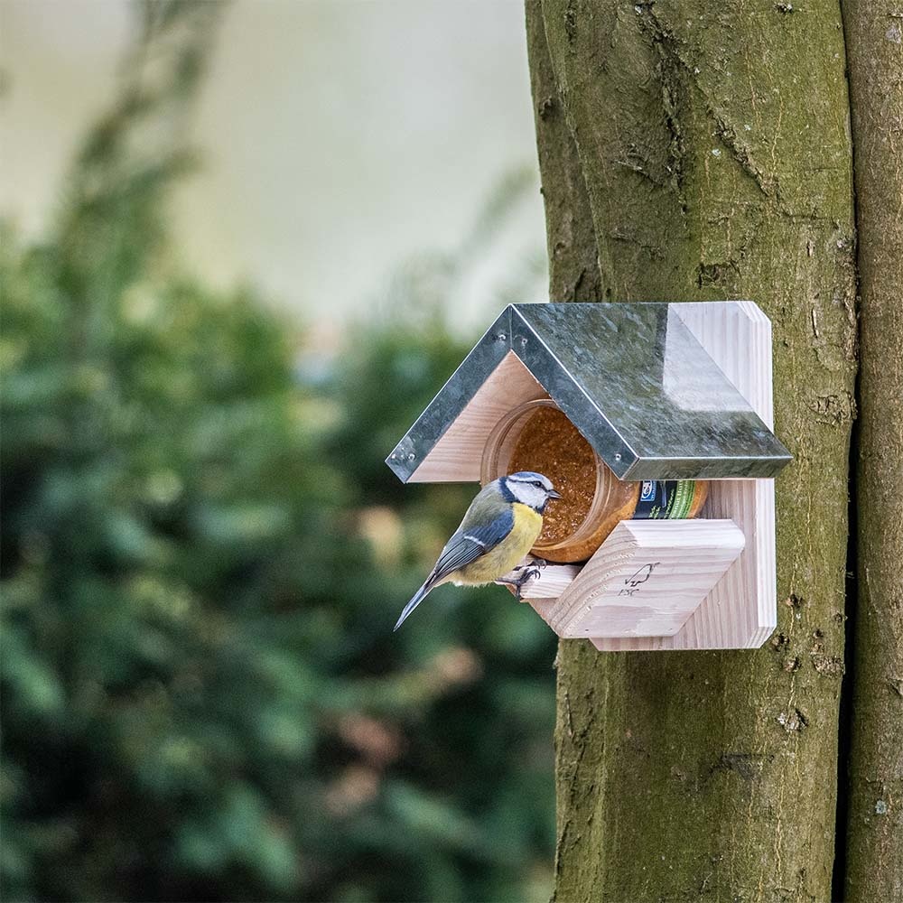 Pindakaas voor vogels, rijk aan eiwitten