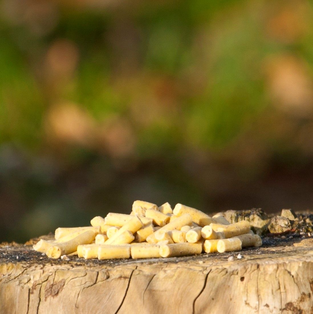 Suet Pellets with Insects