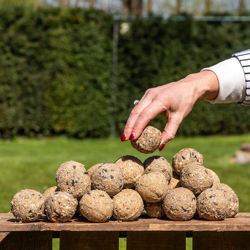 Variatiepakket met 30 Vetbollen (5 verschillende soorten)