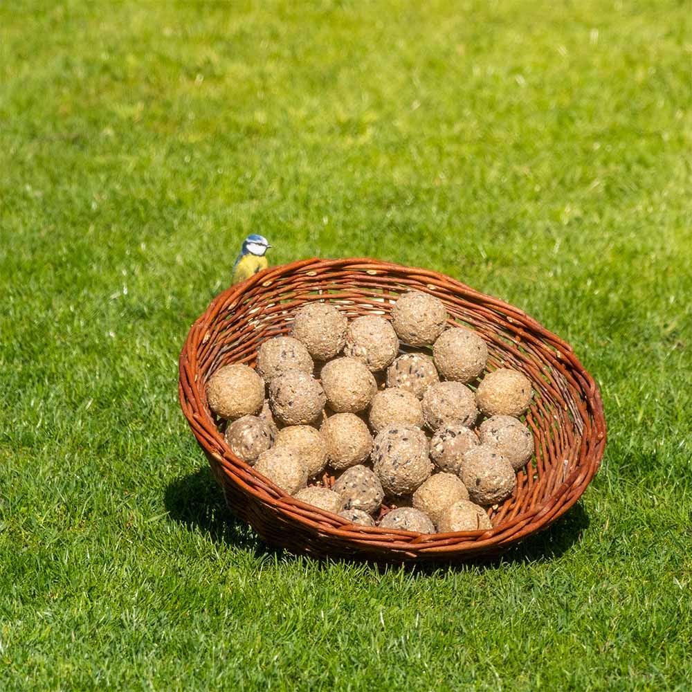 Variatiepakket met 30 Vetbollen (5 verschillende soorten)