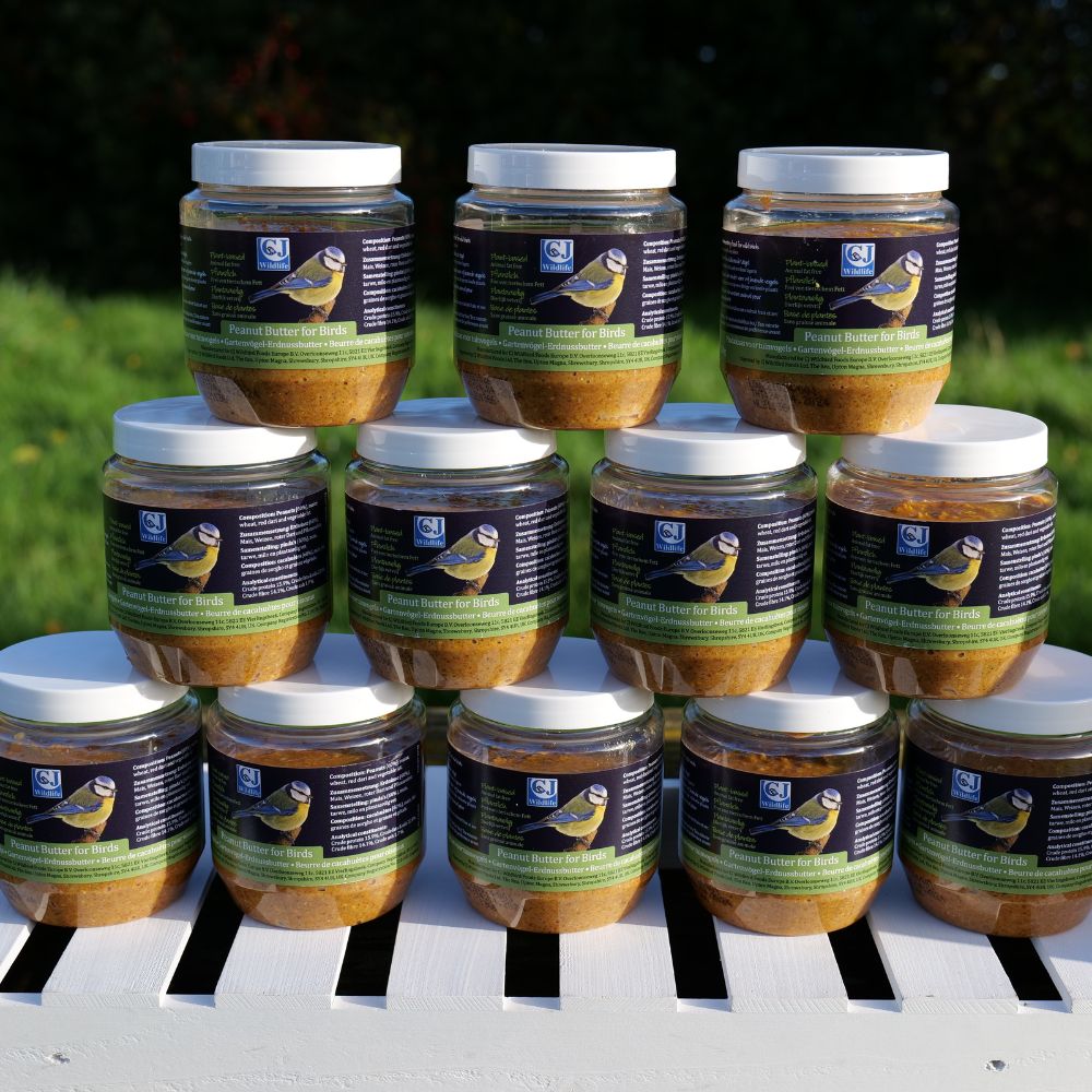 Plant Based Peanut Butter for Birds - Bundle of 12