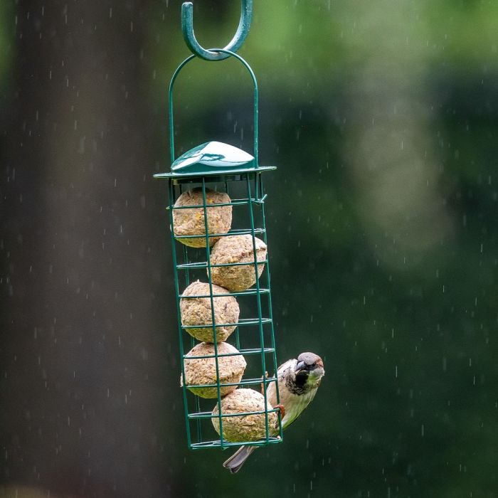 Pakke med meiseboller med insekter og holdere