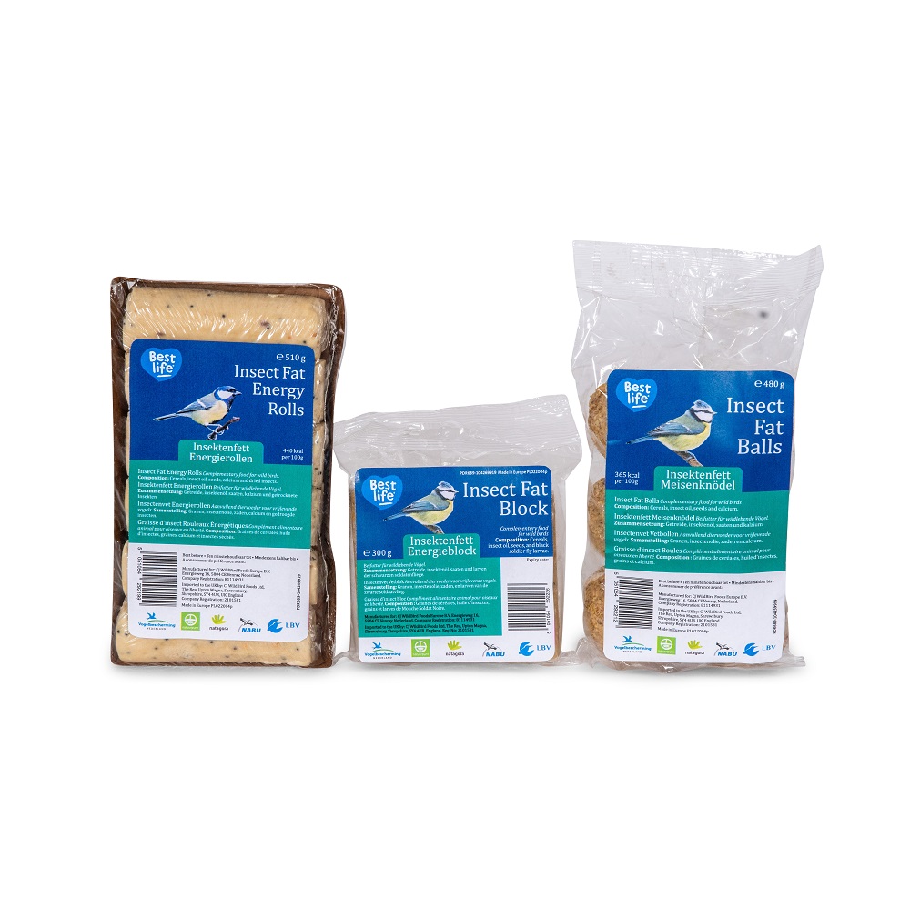 Insect Fat Bird Food Bundle