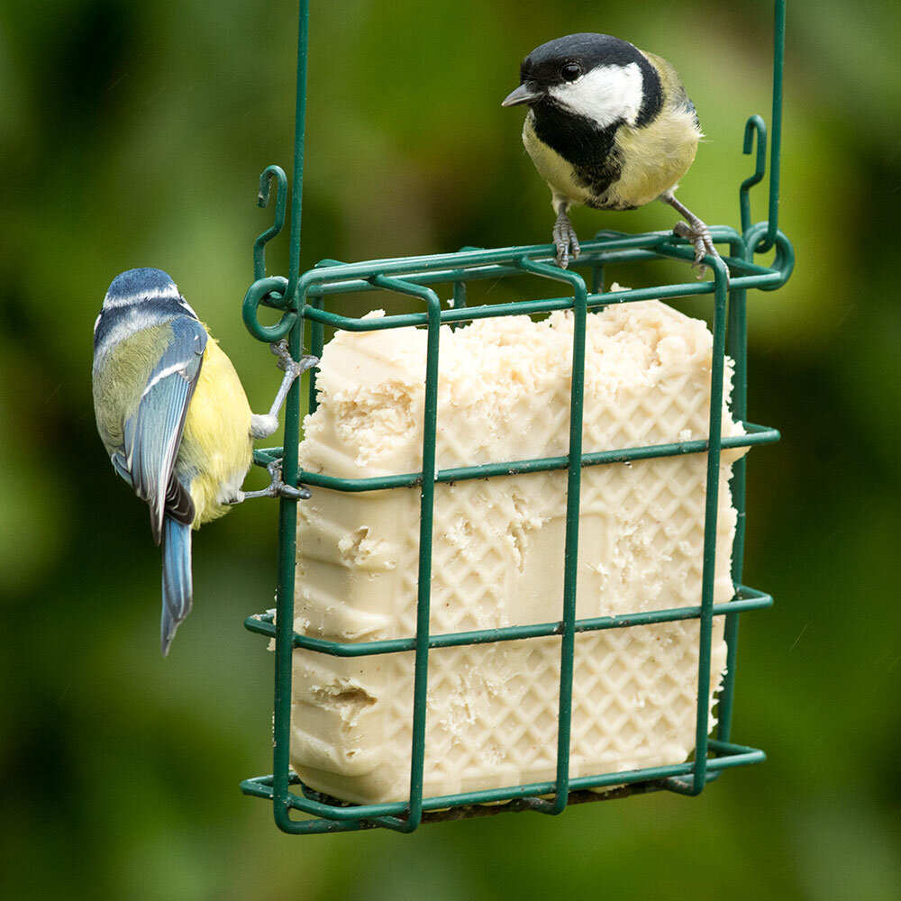 National Trust Mealworm Peanut Cake 300g