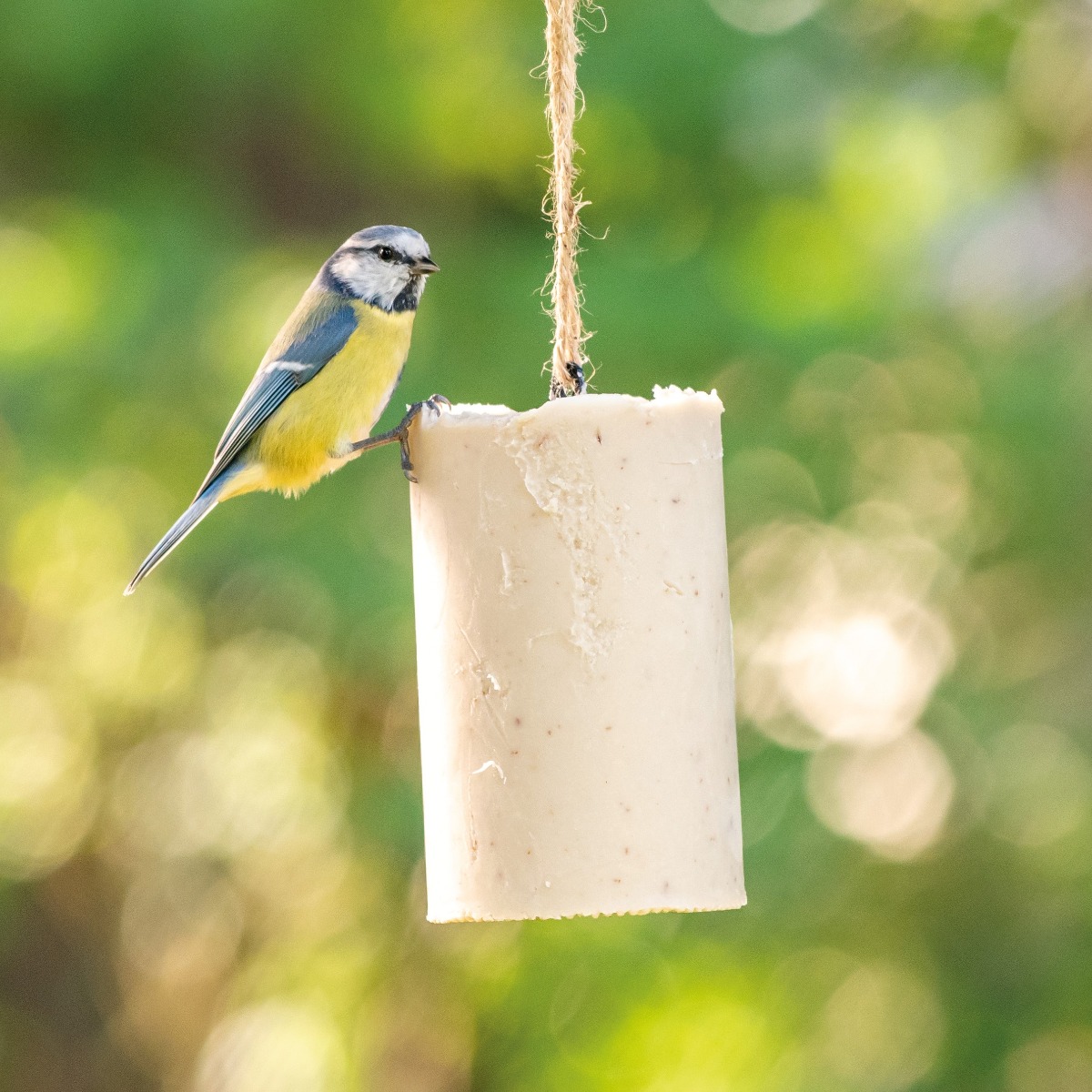 Fuglemat energiblokk med insekter 500 ml