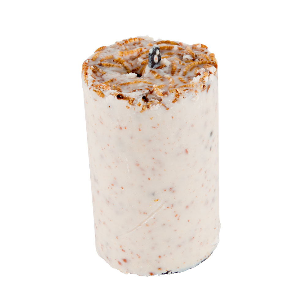 Peanut Cake Tube with Mealworms (500ml)