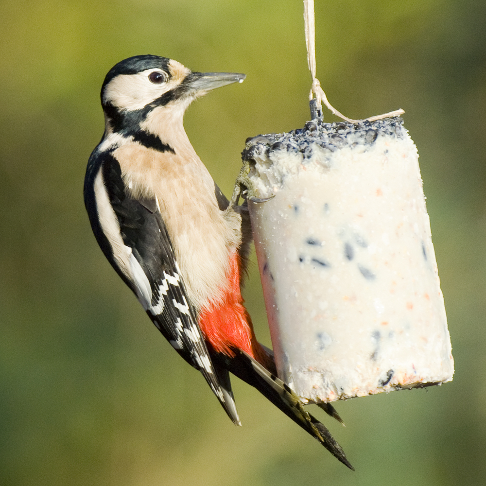 Peanut Cake Tube with Seeds (1 litre)