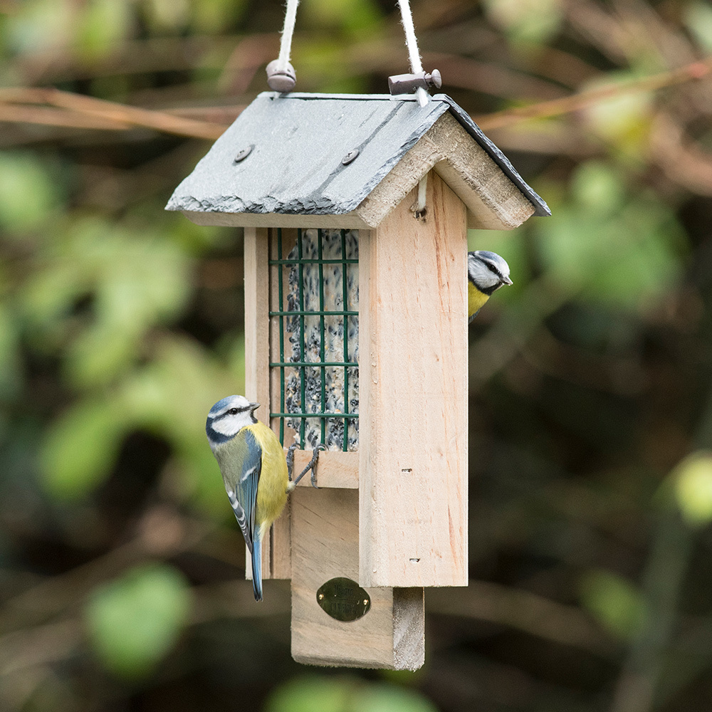 Peanut Cake Square with Seeds for Birds