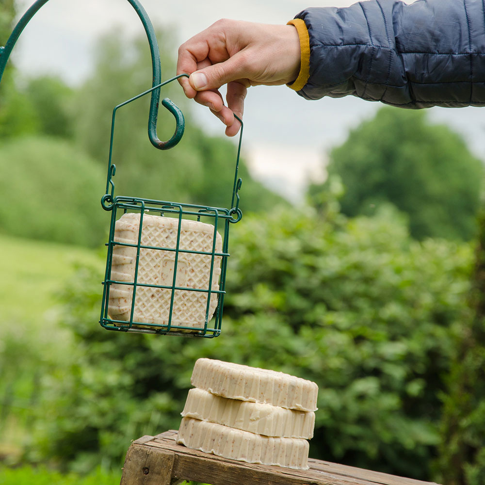 Fuglemat energiblokk firkant med insekter