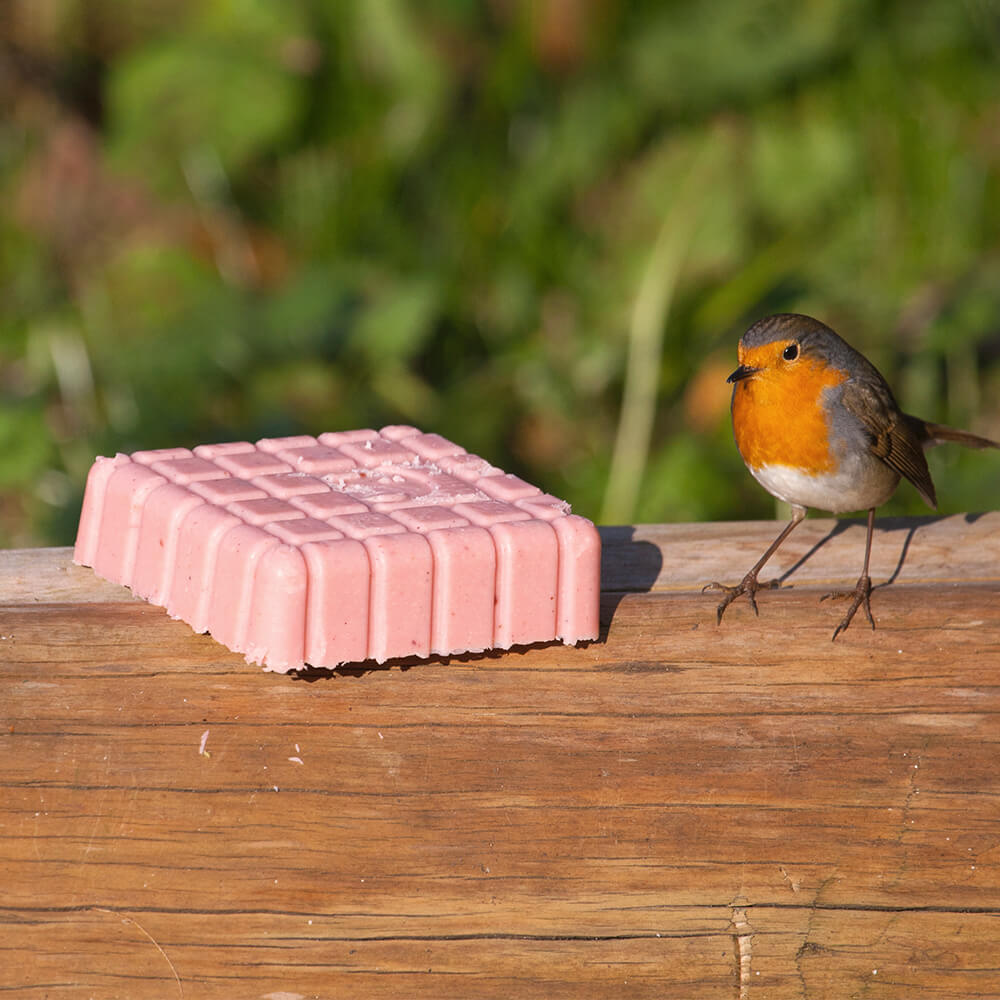 Peanut Cake Square Very Berry